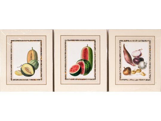 Set Of Fifteen Decorative Vegetable And Fruit Prints, 20th C. 