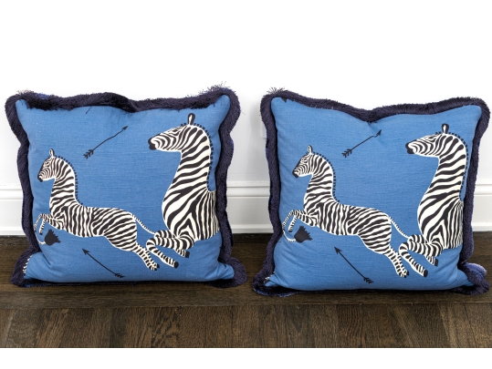 Pair Of Decorative Accent Pillows