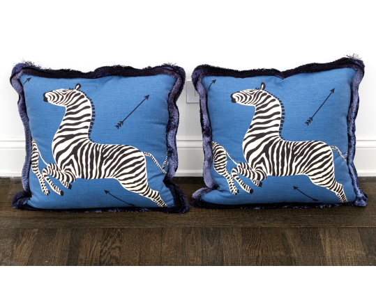 Pair Of Decorative Accent Pillows