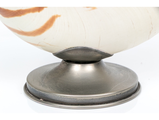 Nautilus Shell Specmin With Pewter Footed Base