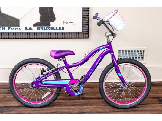 Schwinn Sunnyside And Specialized Hotrock Girls' Bicycles