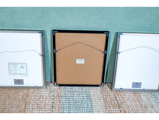 Collection Of Five Framed Works