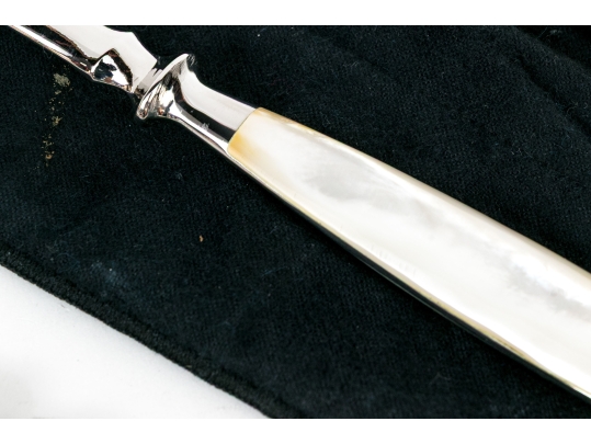 Designer Collection Of Shell Handled Serving Utensils