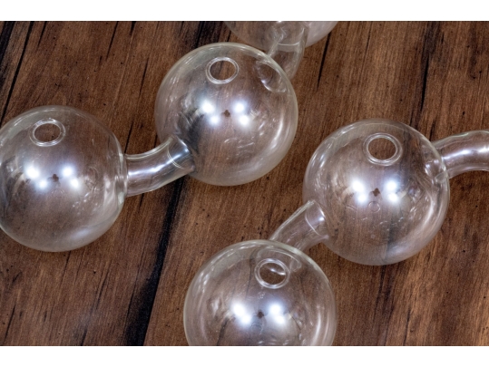 Pair Of Glass Plant Propagation Rings