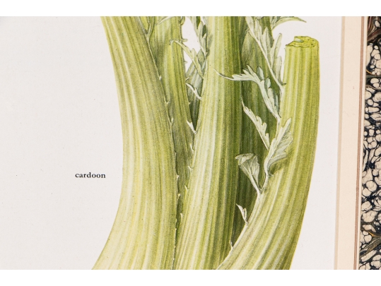 Set Of Fifteen Decorative Vegetable And Fruit Prints, 20th C. 
