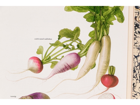 Set Of Fifteen Decorative Vegetable And Fruit Prints, 20th C. 