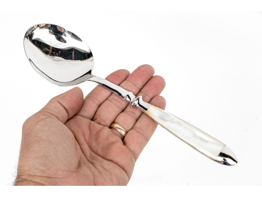 Designer Collection Of Shell Handled Serving Utensils