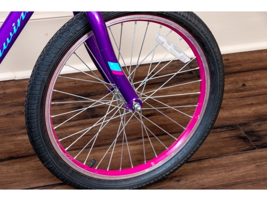 Schwinn Sunnyside And Specialized Hotrock Girls' Bicycles