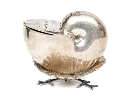 Antique English Victorian Silverplate Nautilus Spoon Warmer