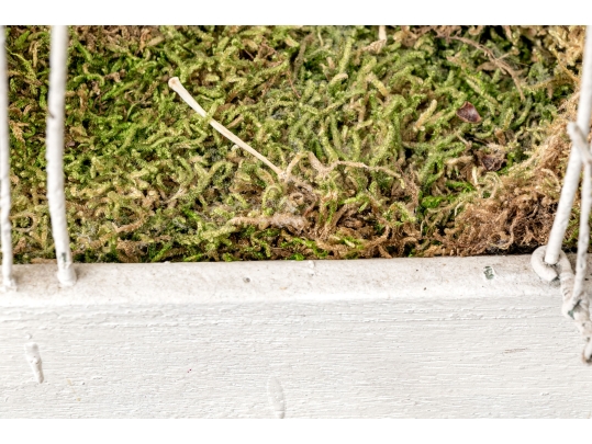 Massive Vintage Iron Birdcage On Stand