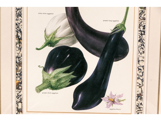 Set Of Fifteen Decorative Vegetable And Fruit Prints, 20th C. 