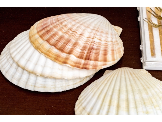 Seafood Serving Wares