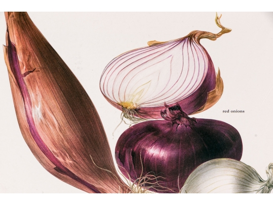 Set Of Fifteen Decorative Vegetable And Fruit Prints, 20th C. 