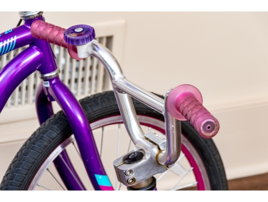 Schwinn Sunnyside And Specialized Hotrock Girls' Bicycles