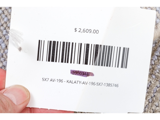 Hand Knotted Wool And Silkette Contemporary Carpet, 7' X 5', New