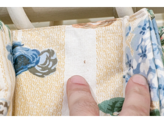 Pair Of Luxurious Curtains