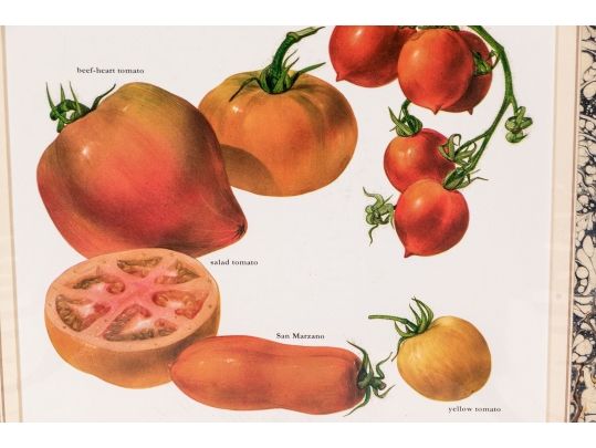 Set Of Fifteen Decorative Vegetable And Fruit Prints, 20th C. 
