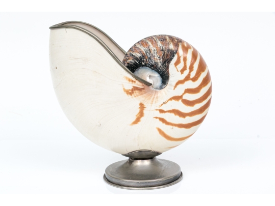 Nautilus Shell Specmin With Pewter Footed Base