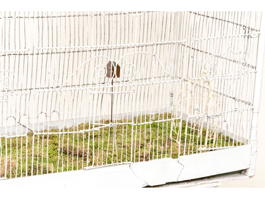 Massive Vintage Iron Birdcage On Stand
