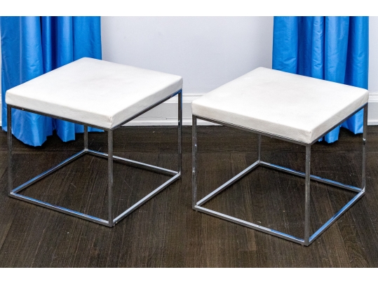 Pair Of Bizhan Home 