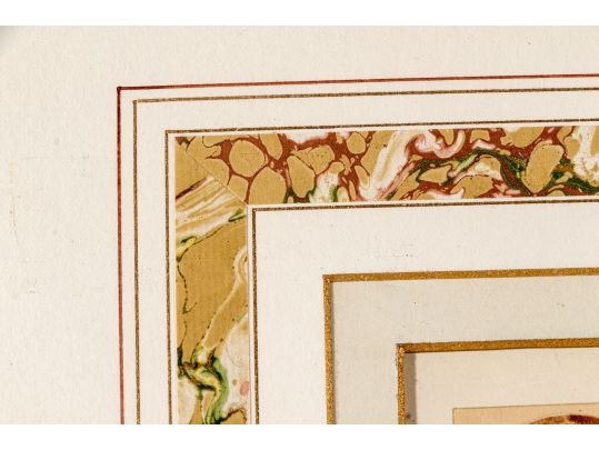 Set Of Six English Color Prints Of Bird Eggs