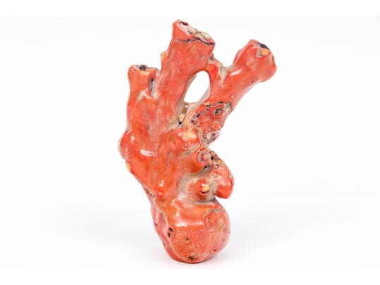 Vintage Natural Red Branch Coral Specimen 