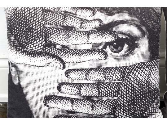 Pair Of Italian Fornasetti Accent Pillows