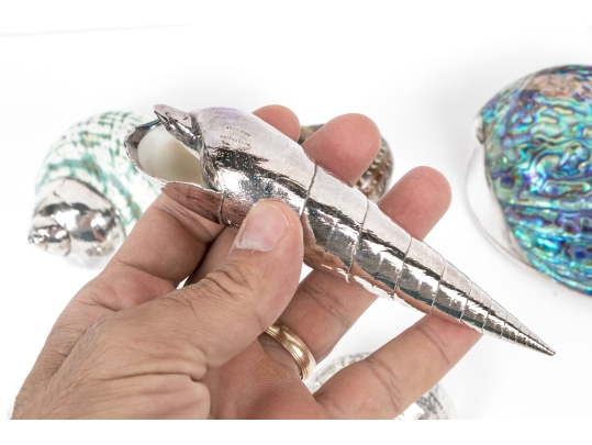 Group Of Six Fine Decorative Silver Clad Shells With Ruzzetti Italy