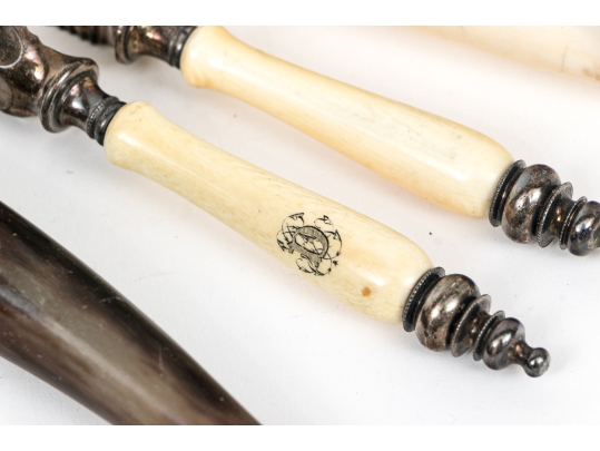 Decorative Horn And Shell Serving Utensils