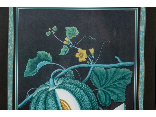 After George Brookshaw (British, 1751-1823) Prints Of Melons
