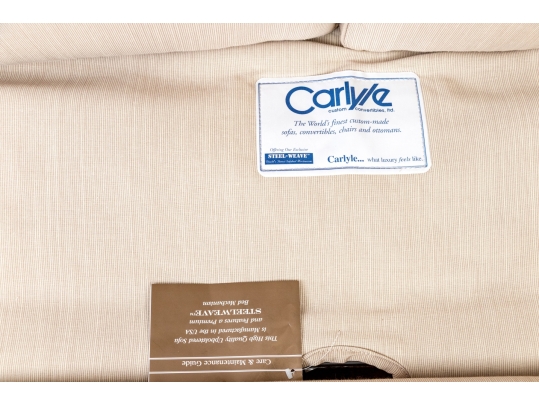 Carlyle Steelweave Sleeper Sofa