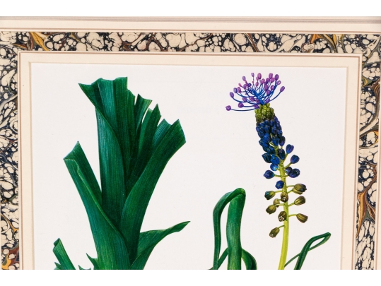 Set Of Fifteen Decorative Vegetable And Fruit Prints, 20th C. 