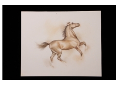 Black Rock Galleries