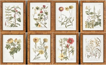 Black Rock Galleries