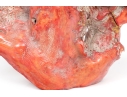 Vintage Natural Red Coral Specimen