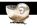 Antique English Victorian Silverplate Nautilus Spoon Warmer