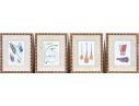 Set Of Eight Decorative Prints Of Instruments