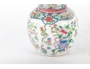 Chinese Hand-Painted Enamel Porcelain Ginger Jar