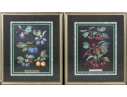 After George Brookshaw (British, 1751-1823) Prints Of Drupes