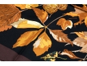 Hermès Striking Fall Leaves Motif Brown And Black Toned Silk Scarf