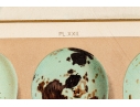 Set Of Six English Color Prints Of Bird Eggs