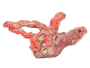 Vintage Natural Red Coral Specimen