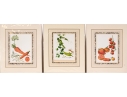 Set Of Fifteen Decorative Vegetable And Fruit Prints, 20th C. 