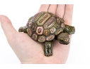 Jay Strongwater Small Turtle Form Box 