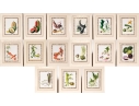 Set Of Fifteen Decorative Vegetable And Fruit Prints, 20th C. 