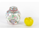 Chinese Hand-Painted Enamel Porcelain Ginger Jar