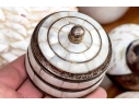 Collection Of Shells, Including Silver Dipped Shells