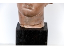 Neoclassical Terracotta Head On Stand