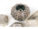 Collection Of Five Silver Sea Creature Motif Small Decorations 