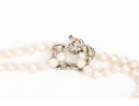 Sterling Fabulous Cultured Open Loop And Four Row Contemporary Cultured Freshwater Pearl Necklace